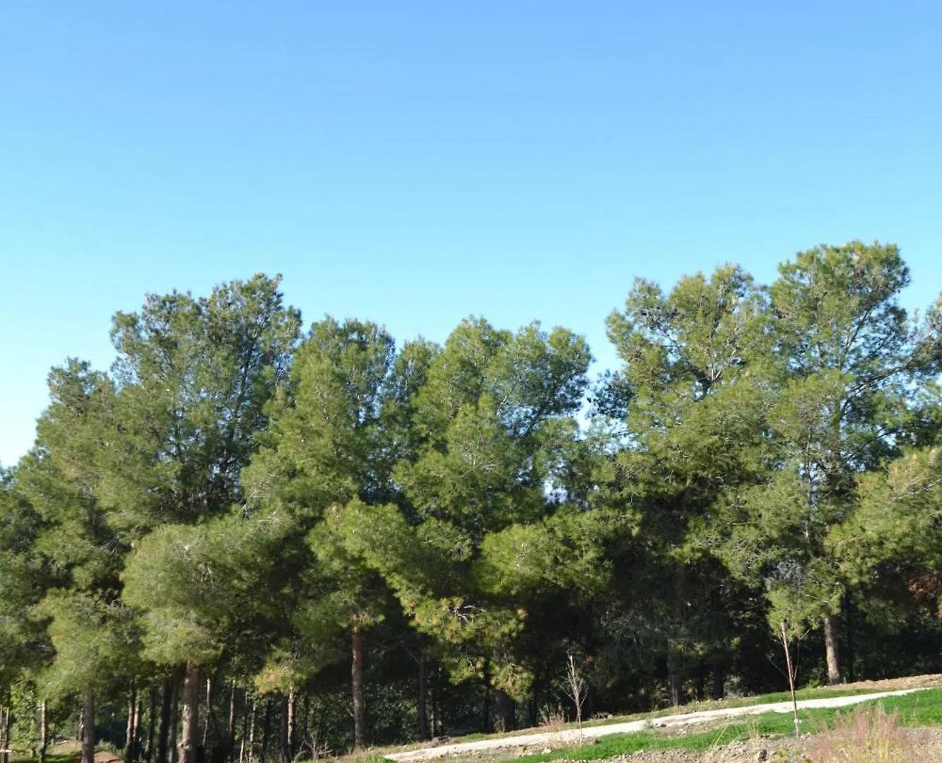 Finca Diego Garcia - Studio Vue Mer Velez Malaga Spain